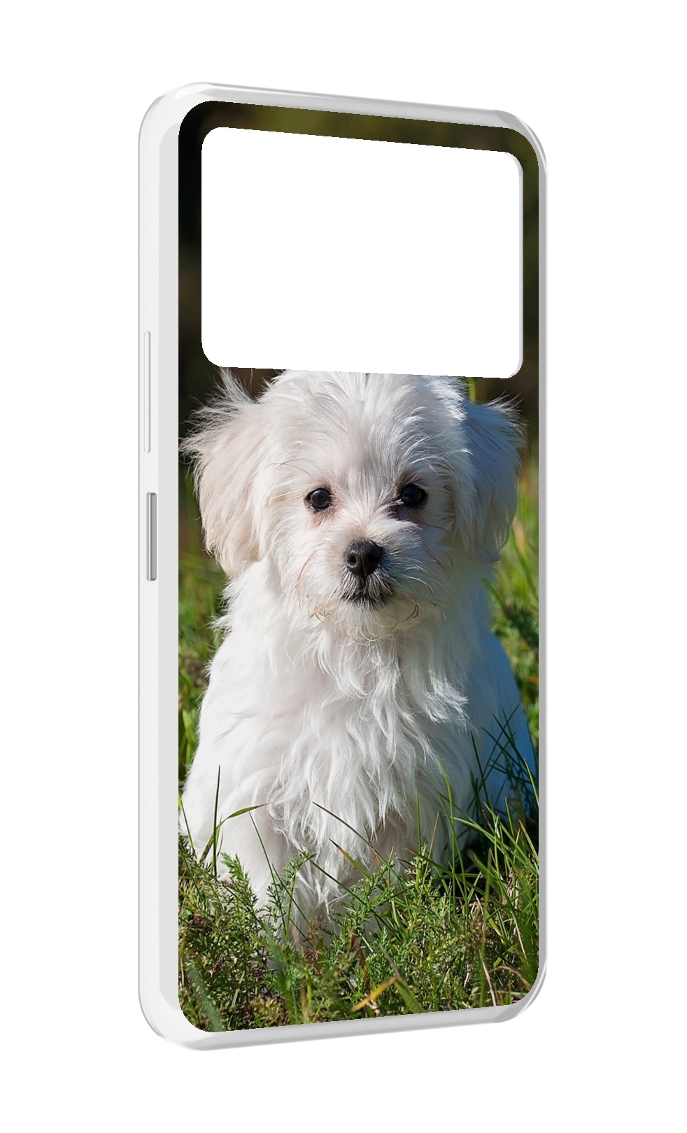 

Чехол MyPads мальтииская-болонка для Infinix NOTE 12 VIP (X672), Прозрачный, Tocco