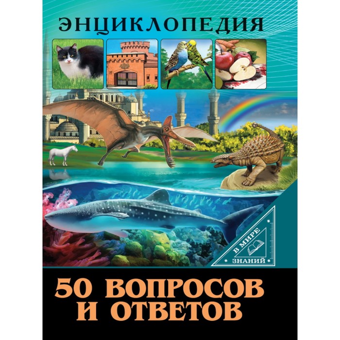 

50 вопросов и ответов. Соколова Я.