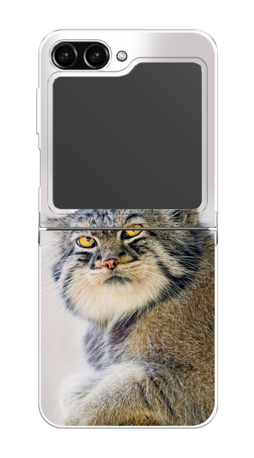 

Чехол Homey на Samsung Galaxy Z Flip 5 "Кот манул 1", Серый;белый;желтый, 2108350-1