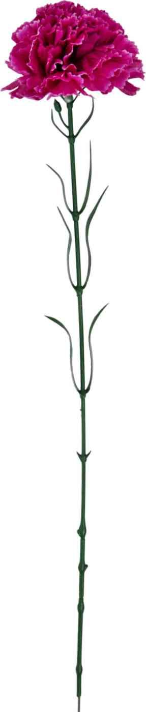 

Искусственная гвоздика 28 см, Зеленый;красный