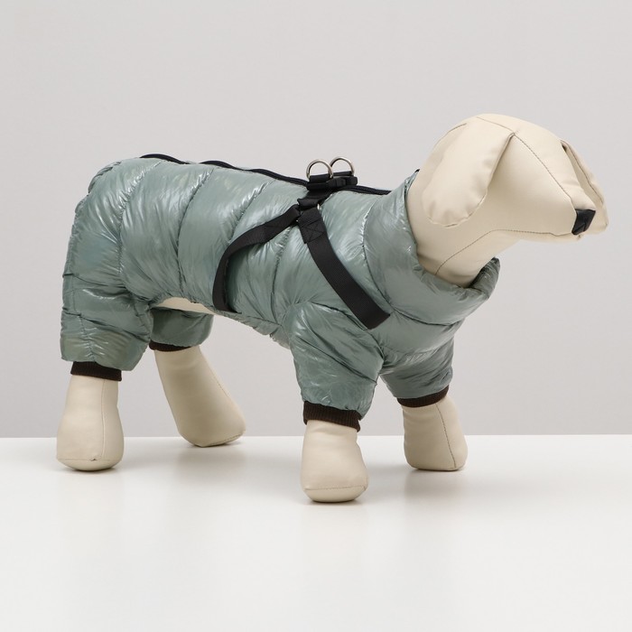 Комбинезон для собак Sima-land со шлейкой Моден, размер 10, серый (7980718)