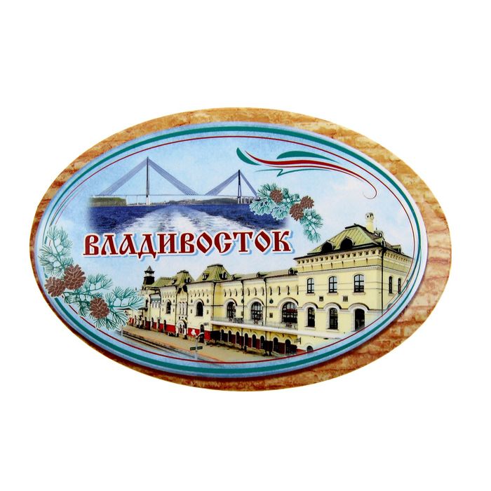 

Магнит-открывашка «Владивосток»