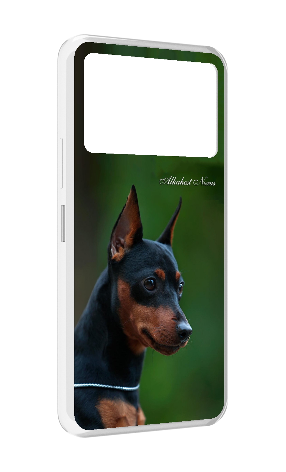 

Чехол MyPads цвергпинчер черпинчер для Infinix NOTE 12 VIP (X672), Прозрачный, Tocco