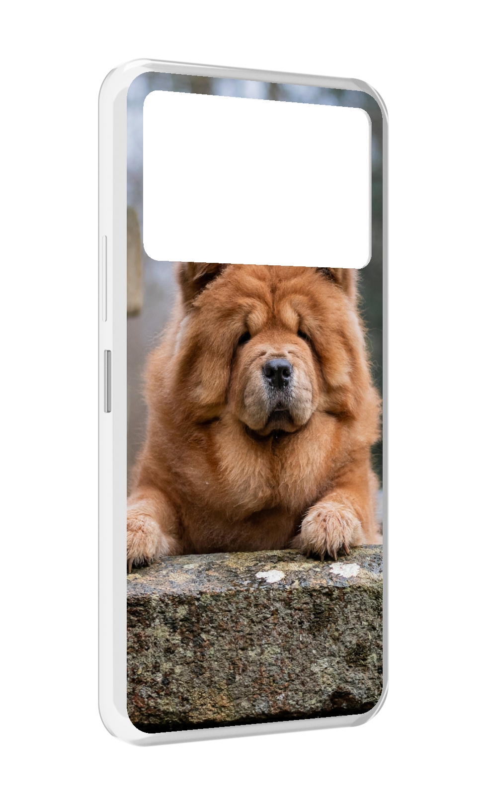 

Чехол MyPads чау чау для Infinix NOTE 12 VIP (X672), Прозрачный, Tocco