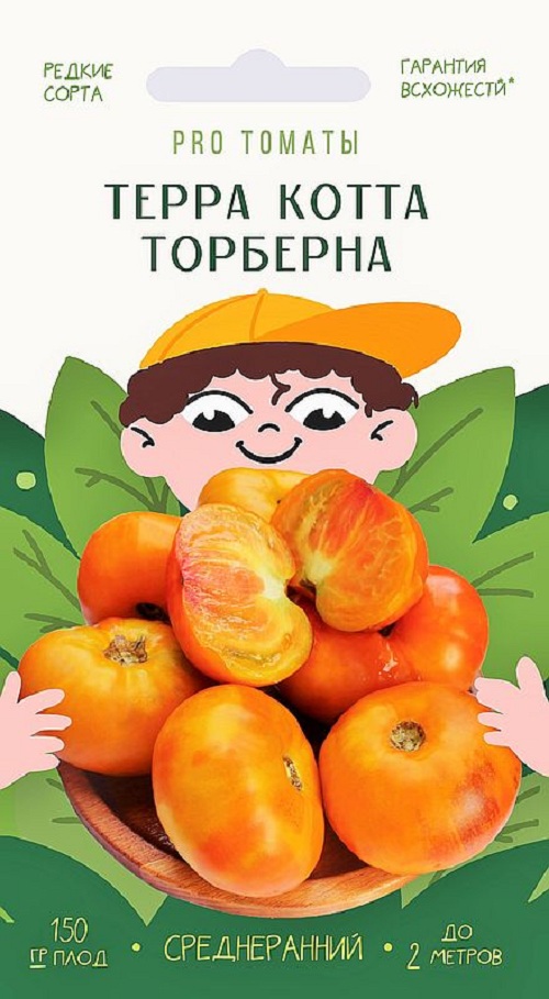 

Семена томат Терра котта торберна Agroni 35826 1 уп.