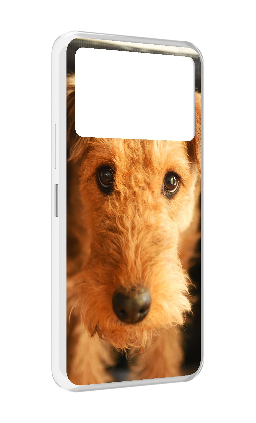 

Чехол MyPads эрдельтерьер для Infinix NOTE 12 VIP (X672), Прозрачный, Tocco