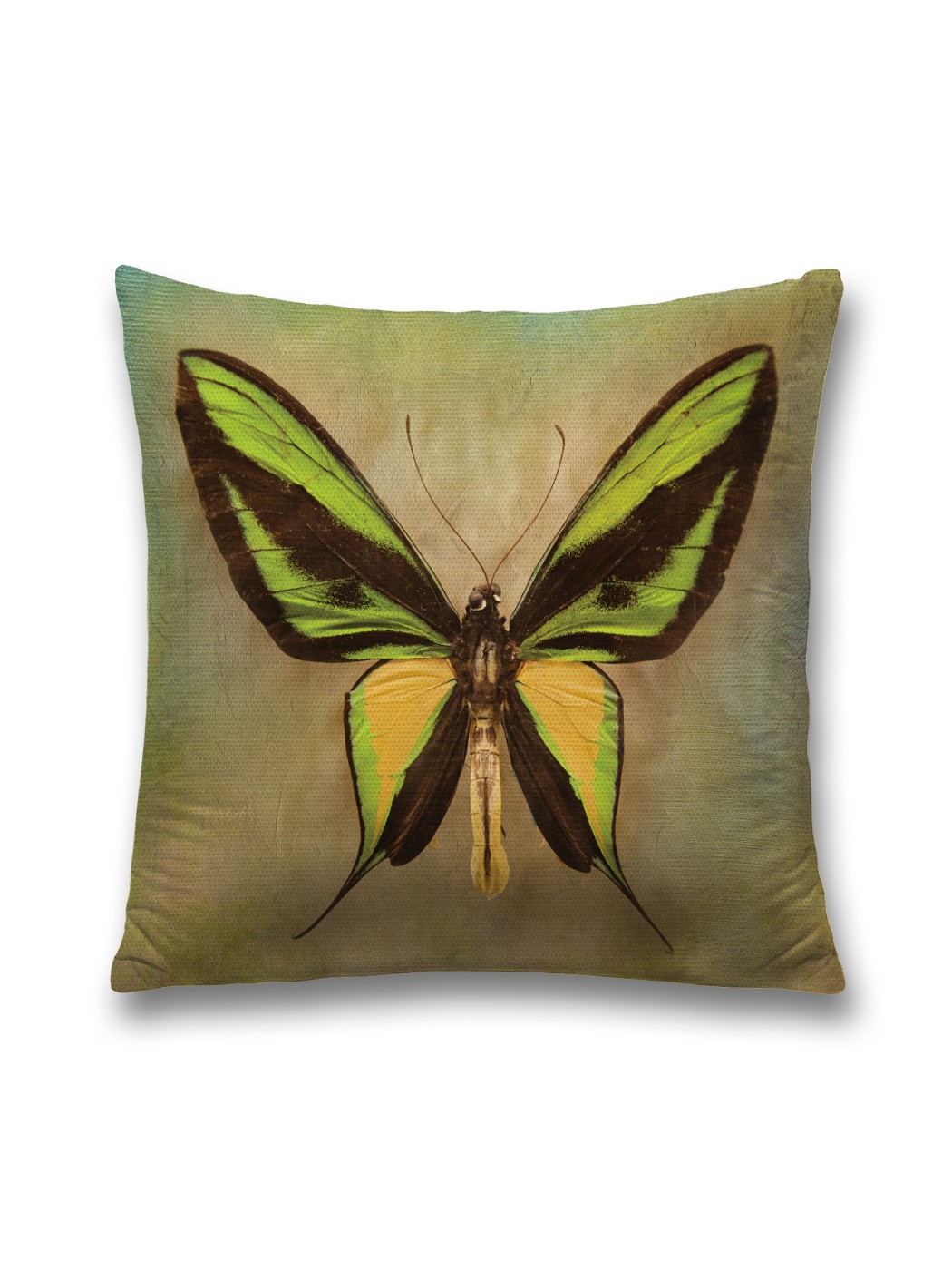 Декоративная наволочка Энергия бабочки от JoyArty с молнией, размер 45x45 см.