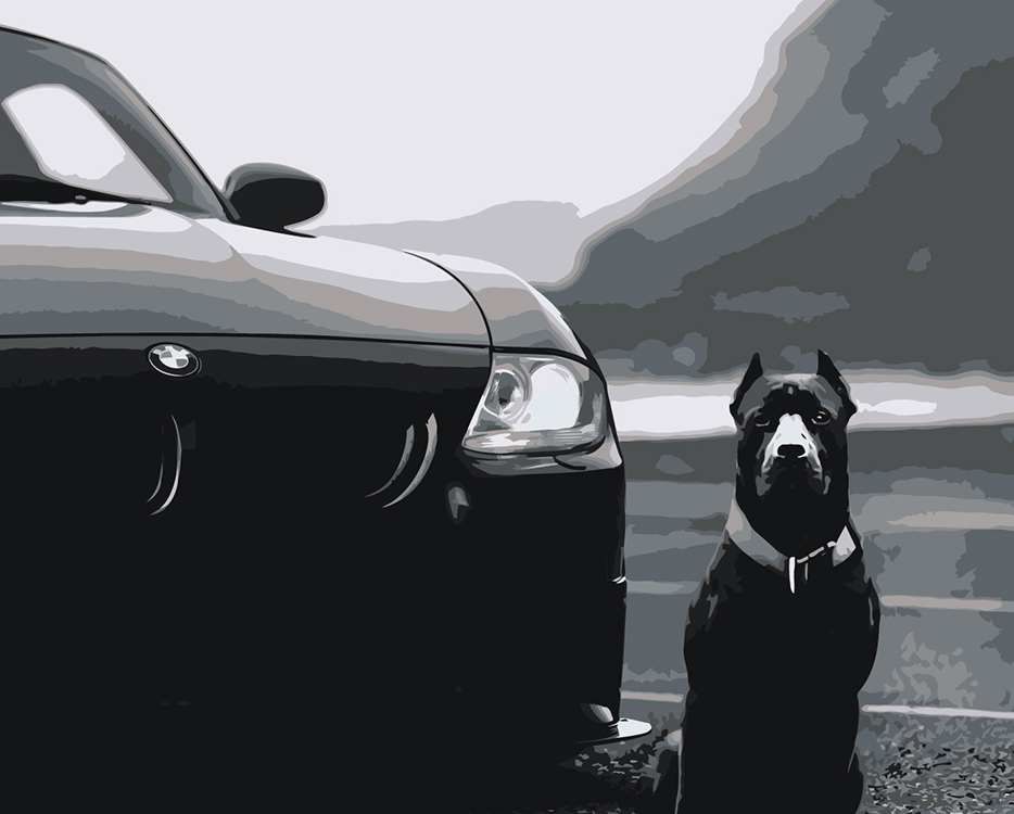 

Картина по номерам Цветное Машина BMW и собака Кане-корсо монохром