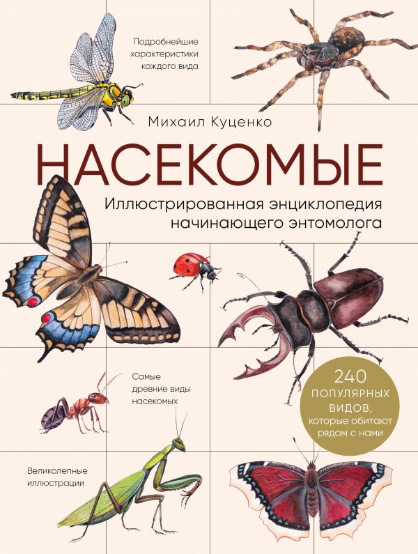 фото Книга насекомые. иллюстрированная энциклопедия начинающего энтомолога. 240 популярных в... эксмо