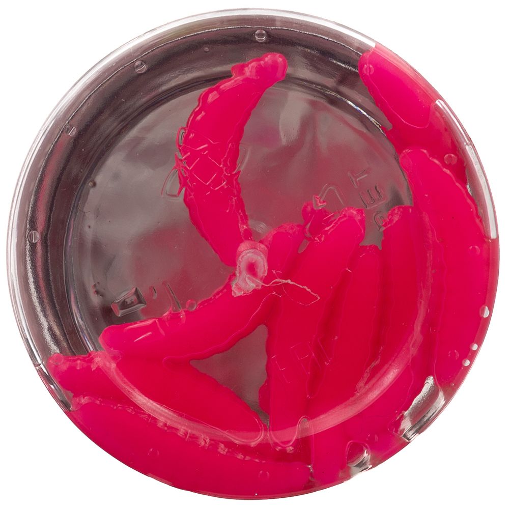 

Приманка форелевая Trout Zone MAGGOT 1.3" Floating Сыр, Малиновый Светонакопительный оранж, Розовый, ТраутЗоныФорель-235