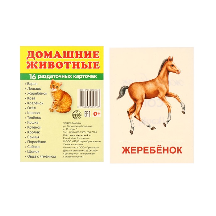 

Демонстрационные картинки "Домашние животные" 16 шт, 17 х 22 см
