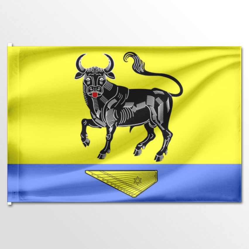 

Флаг ЦТП ФЕНИКС Большеврудского сельского поселения 135x90 см, 1483-135x90