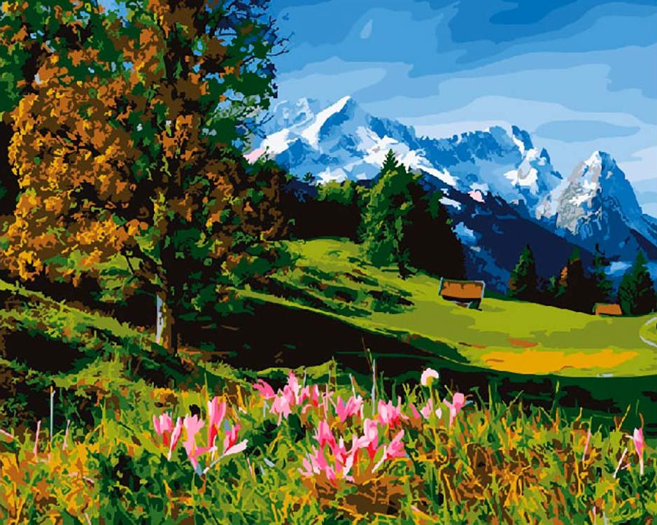 

Картина по номерам ВанГогВоМне Красная поляна, 40x50, Красная поляна