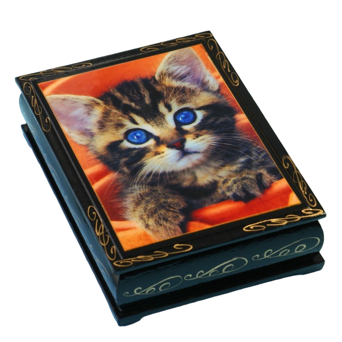 фото Шкатулка "голубоглазый котенок"10?14 см, черная nobrand