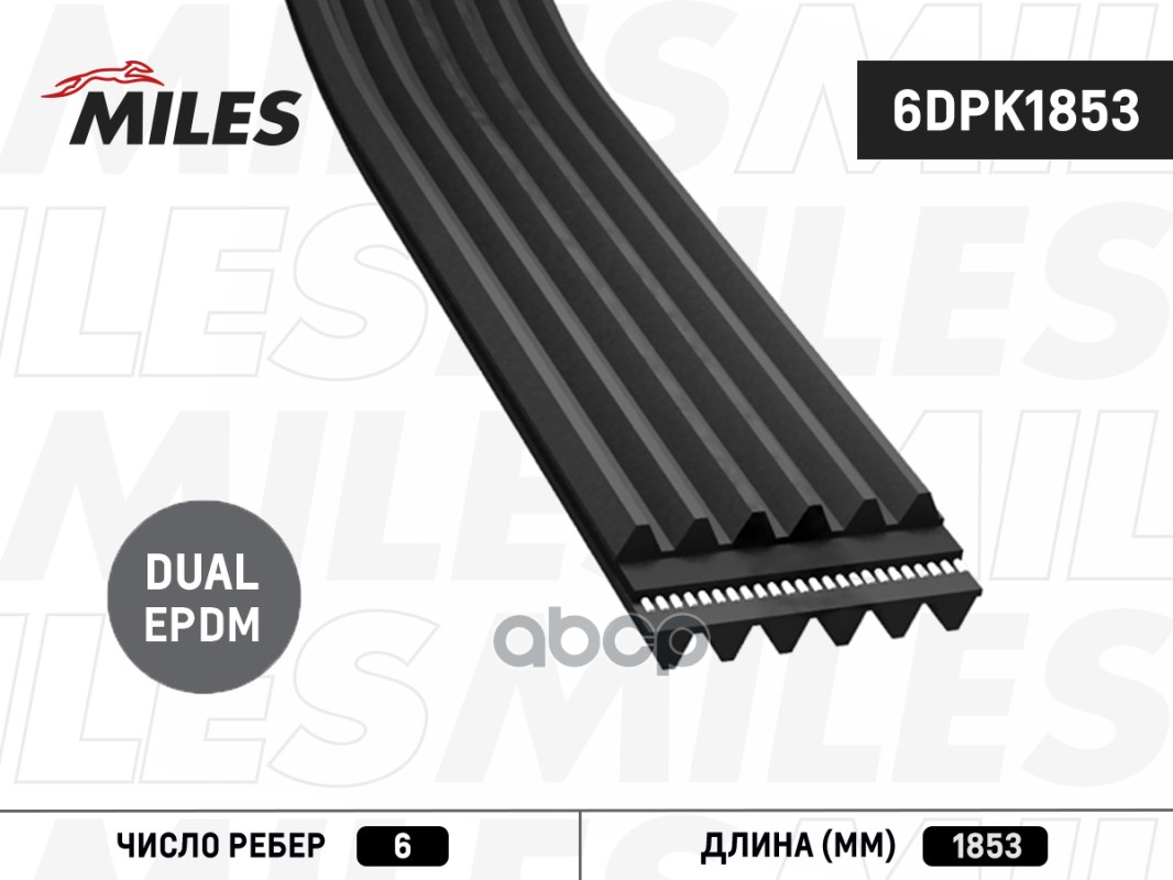 

Ремень Поликлиновой 6dpk1853 Miles арт. 6DPK1853