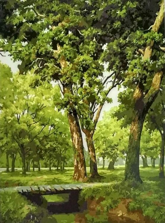 

Картина по номерам Цветной Мостик в лесу, 40x50, Мостик в лесу