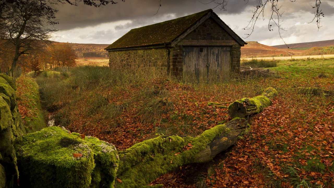

Картина на холсте 60x110 LinxOne "Природа, пейзаж, натура, флора