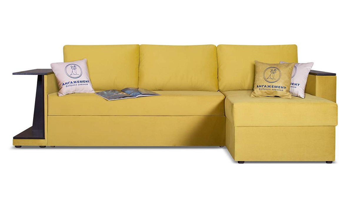 

Диван-кровать AH!DIVAN Берг 250х160х85, механизм дельфин