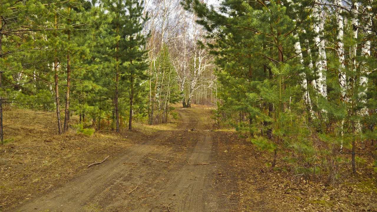 

Картина на холсте 60x110 LinxOne "Природа, пейзаж, натура, флора