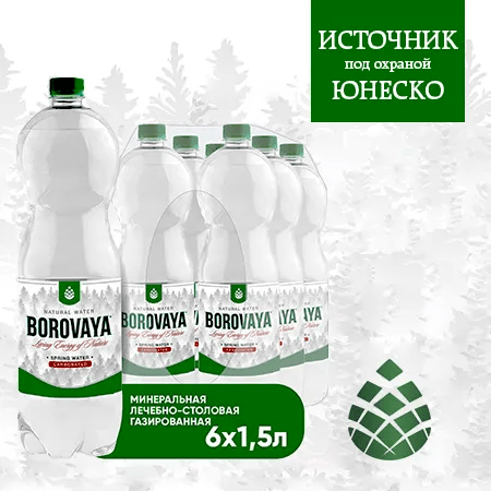 Вода BOROVAYA (БОРОВАЯ), лечебно-столовая минеральная, газированная, ПЭТ 1.5 л (6 штук)