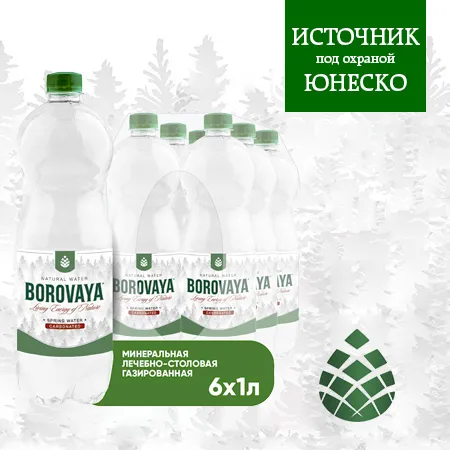 Вода BOROVAYA (БОРОВАЯ), лечебно-столовая минеральная, газированная, ПЭТ 1 л (6 штук)