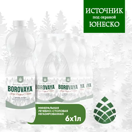 Вода BOROVAYA (БОРОВАЯ), лечебно-столовая минеральная, негазированная, ПЭТ 1 л (6 штук)