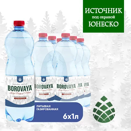 Вода питьевая BOROVAYA (БОРОВАЯ), природная газированная, ПЭТ 1 л (6 штук)