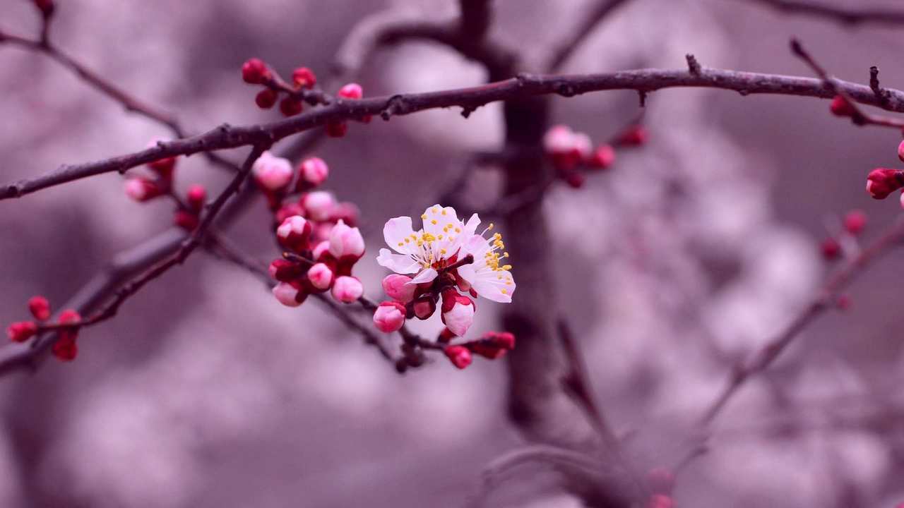 

Картина на холсте 60x110 LinxOne "Природа, пейзаж, натура, флора