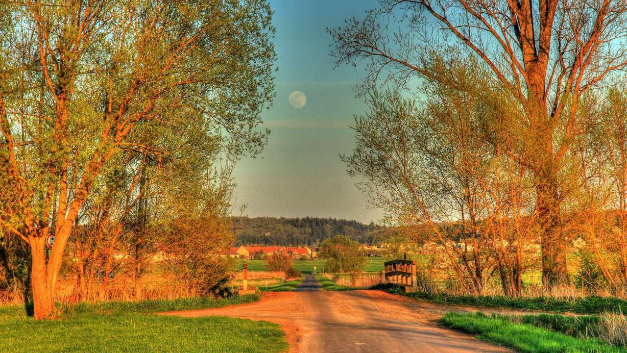 

Картина на холсте 60x110 LinxOne "Природа, пейзаж, натура, флора