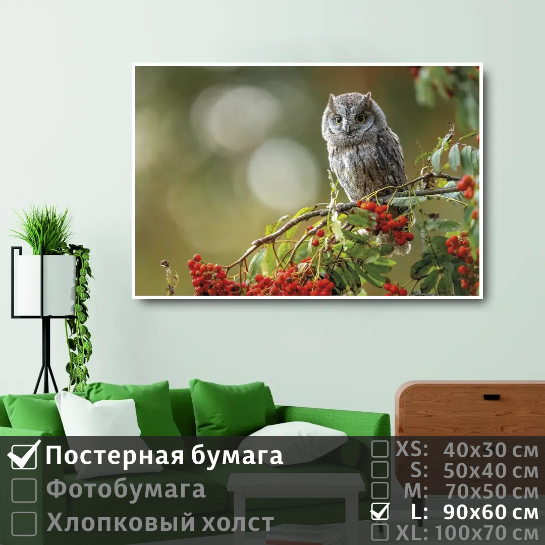 

Постер на стену ПолиЦентр Сова сидит на ветке красной рябины в лесу 90х60 см, СоваСидитНаВеткеКраснойРябиныВЛесу