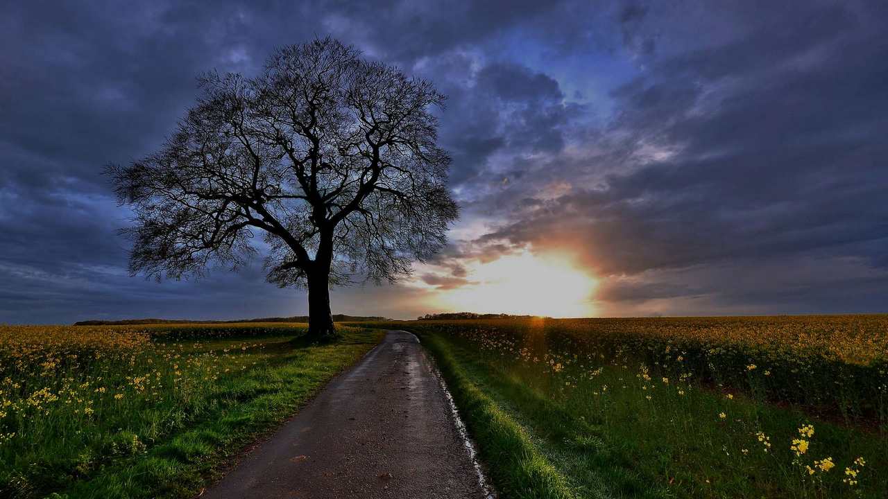

Картина на холсте 60x110 LinxOne "Природа, пейзаж, натура, флора