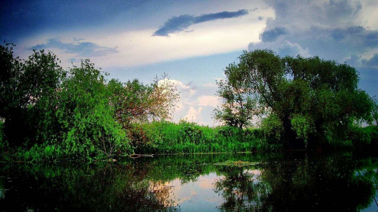

Картина на холсте 60x110 LinxOne "Природа, пейзаж, натура, флора