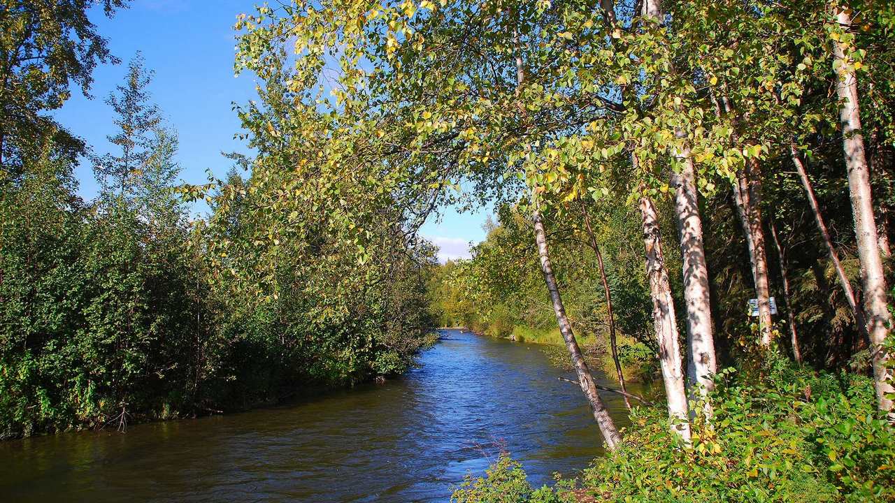 

Картина на холсте 60x110 LinxOne "Природа, пейзаж, натура, флора