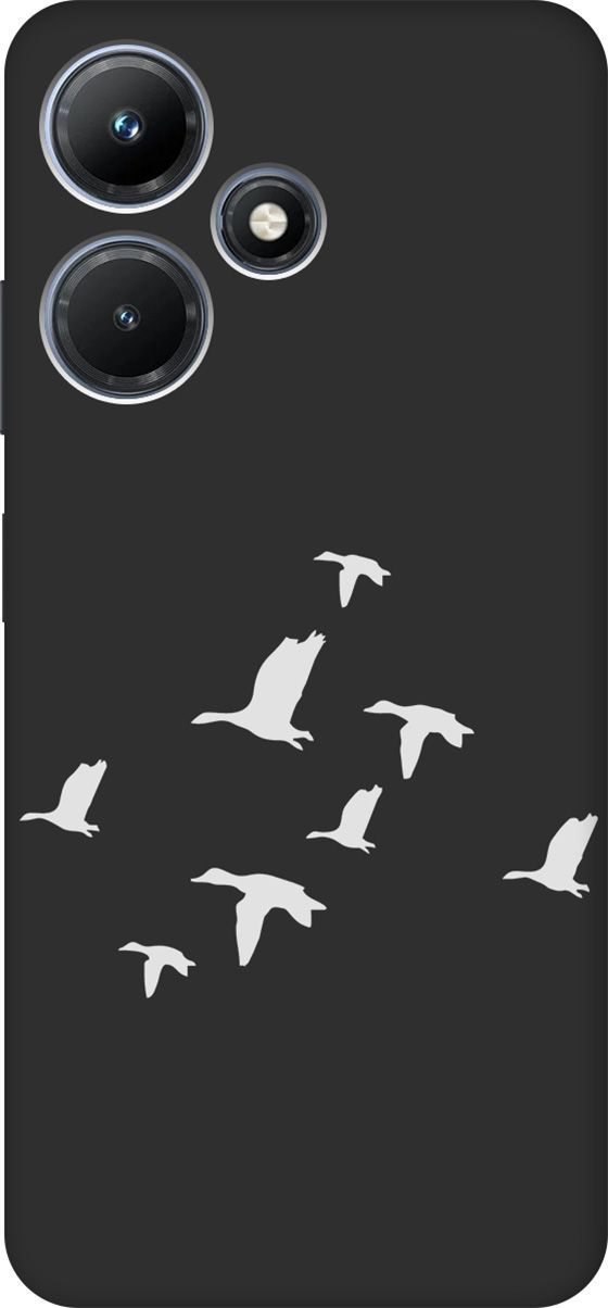 

Чехол на Infinix Hot 30i "Flock of Ducks W" черный, Черный;серый, 159413