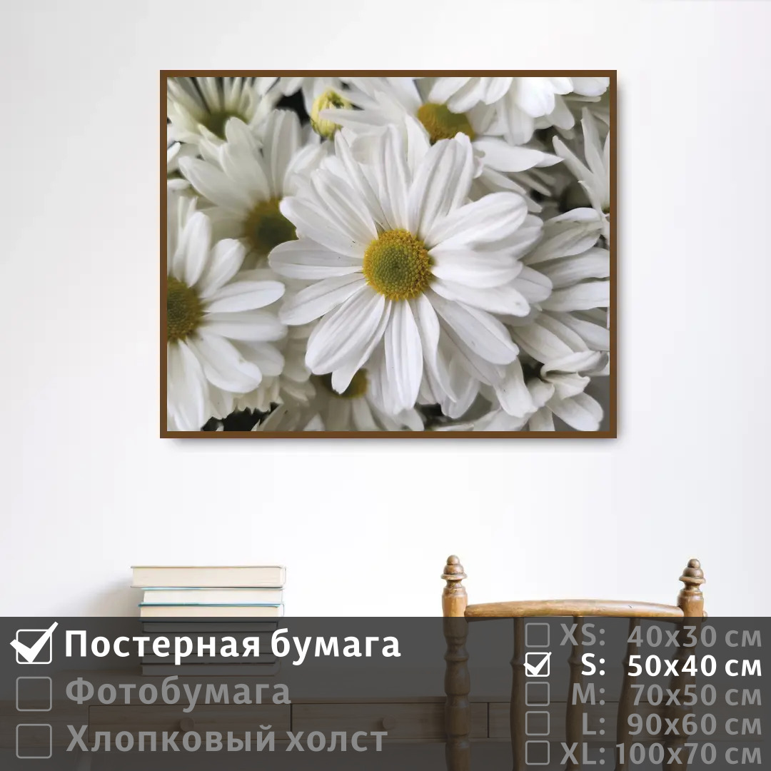

Постер на стену ПолиЦентр Белоснежные ромашки 50х40 см, БелоснежныеРомашки