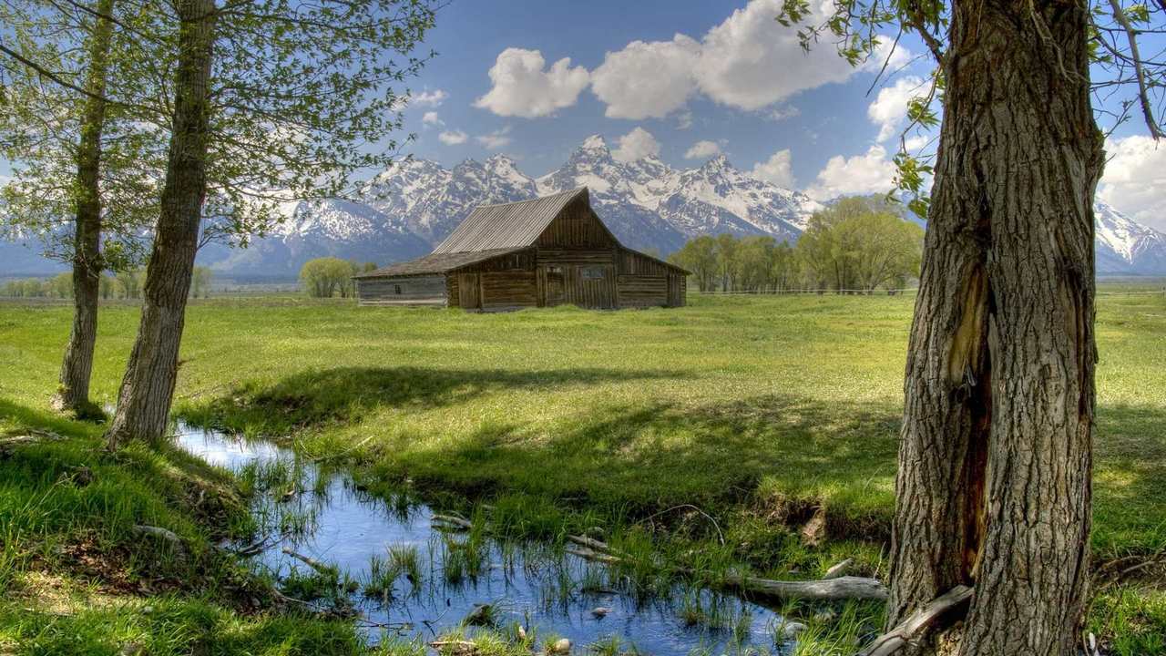 

Картина на холсте 60x110 LinxOne "Природа, пейзаж, натура, флора