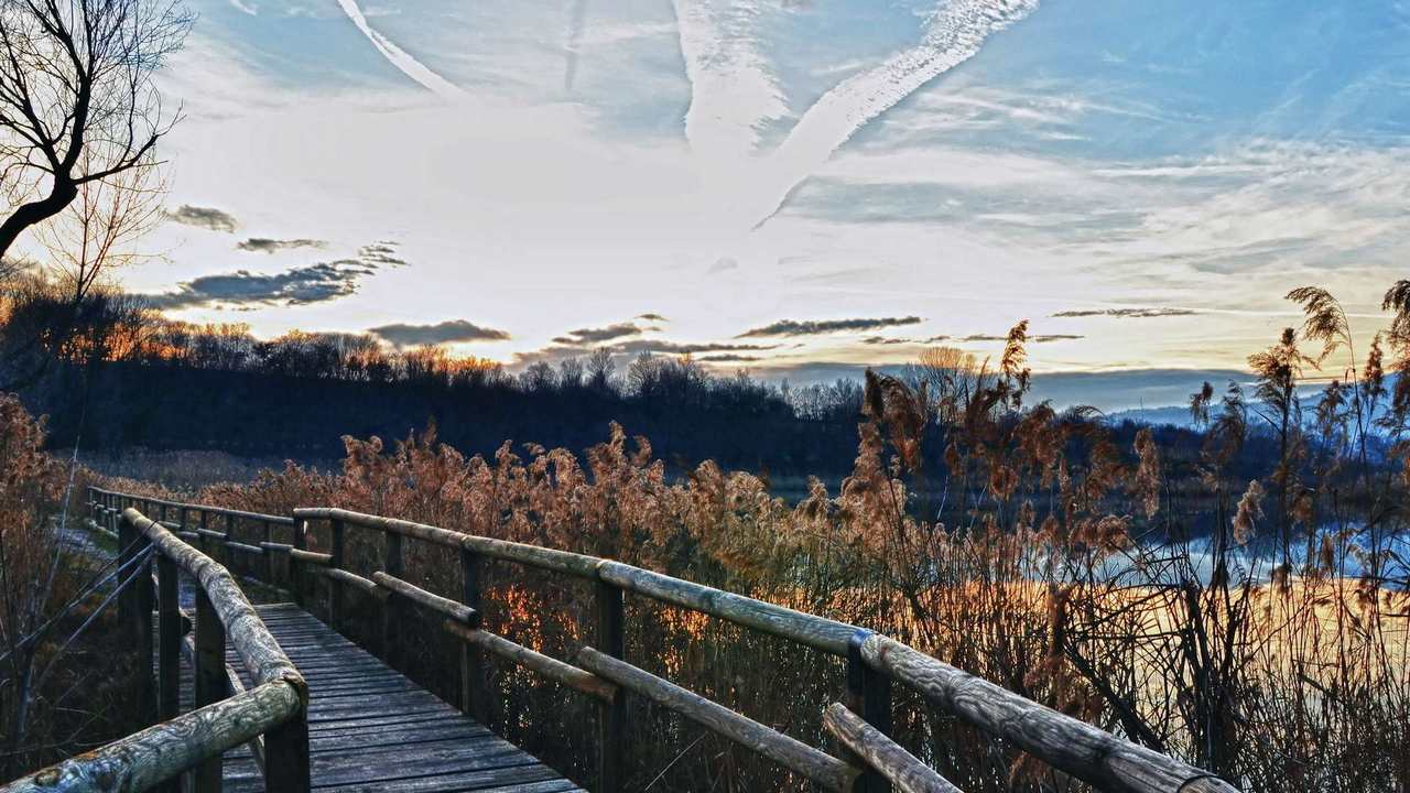 

Картина на холсте 60x110 LinxOne "Природа, пейзаж, натура, флора