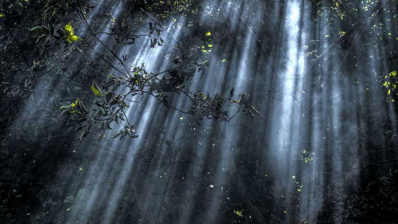 

Картина на холсте 60x110 LinxOne "Природа, пейзаж, натура, флора