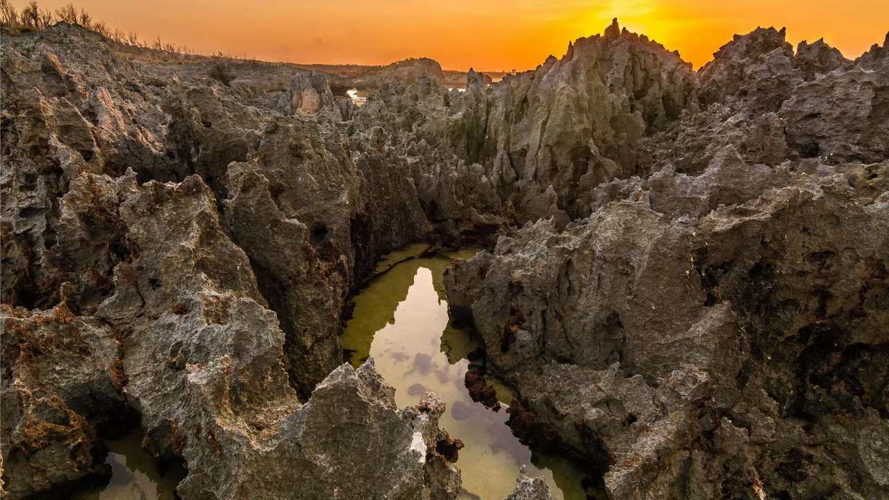 

Картина на холсте 60x110 LinxOne "Природа, пейзаж, натура, флора