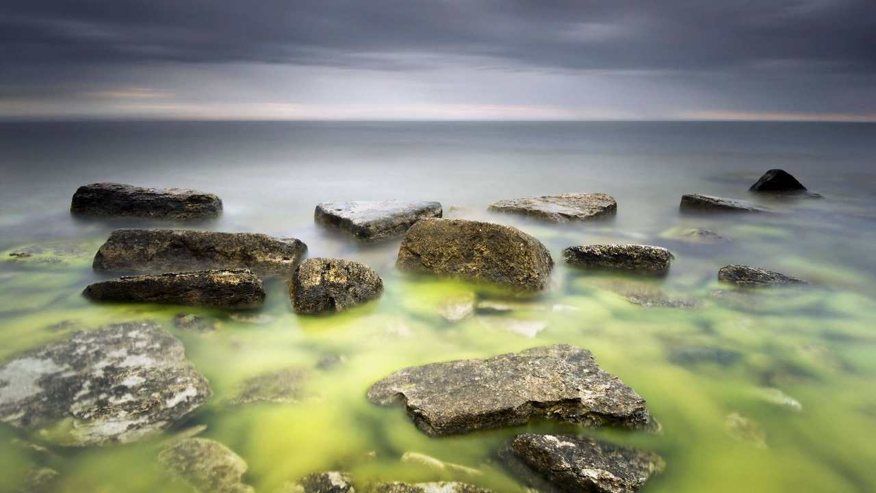 

Картина на холсте 60x110 LinxOne "Природа, пейзаж, натура, флора