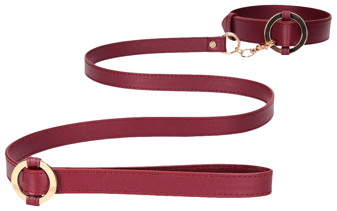 фото Ошейник с поводком shots media bv collar with leash бордовый