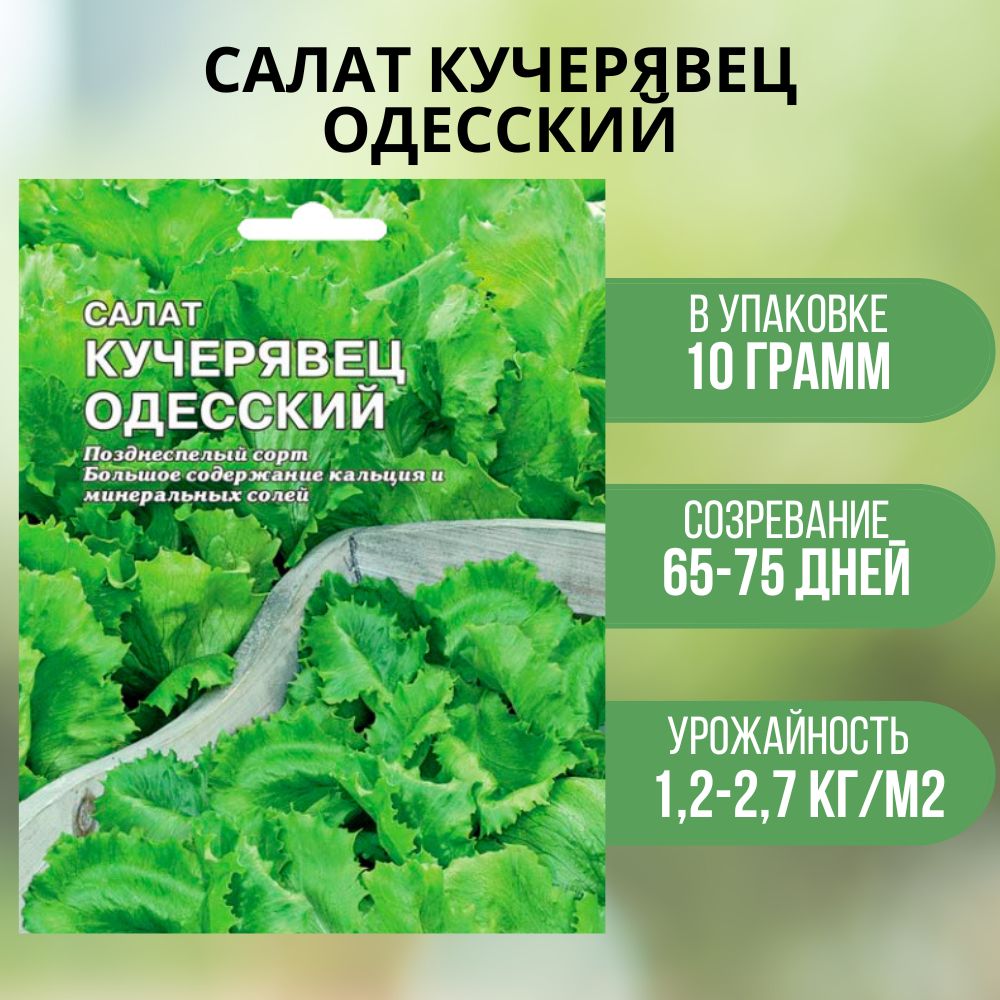 

Семена Салат Кучерявец одесский 10г Сембат 1 упаковка