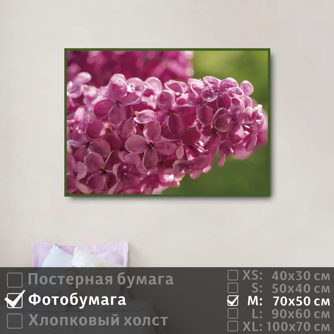 

Постер на фотобумаге ПолиЦентр Ветка сирени с каплями 70х50 см, ВеткаСирениСКаплями