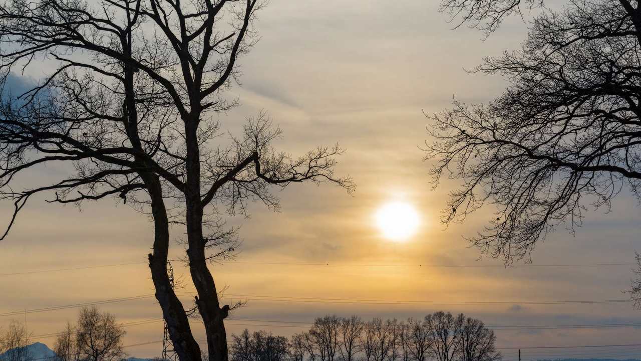 

Картина на холсте 60x110 LinxOne "Природа, пейзаж, натура, флора