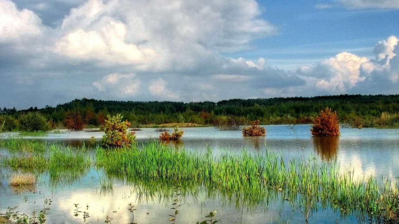 

Картина на холсте 60x110 LinxOne "Природа, пейзаж, натура, флора