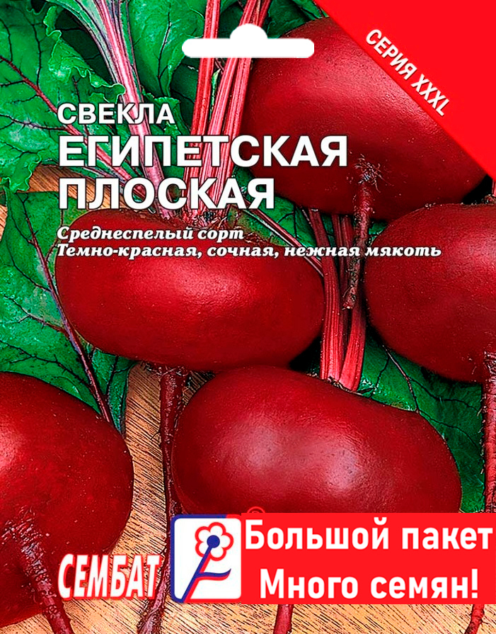 

Семена свекла Египетская плоская Сембат 20322