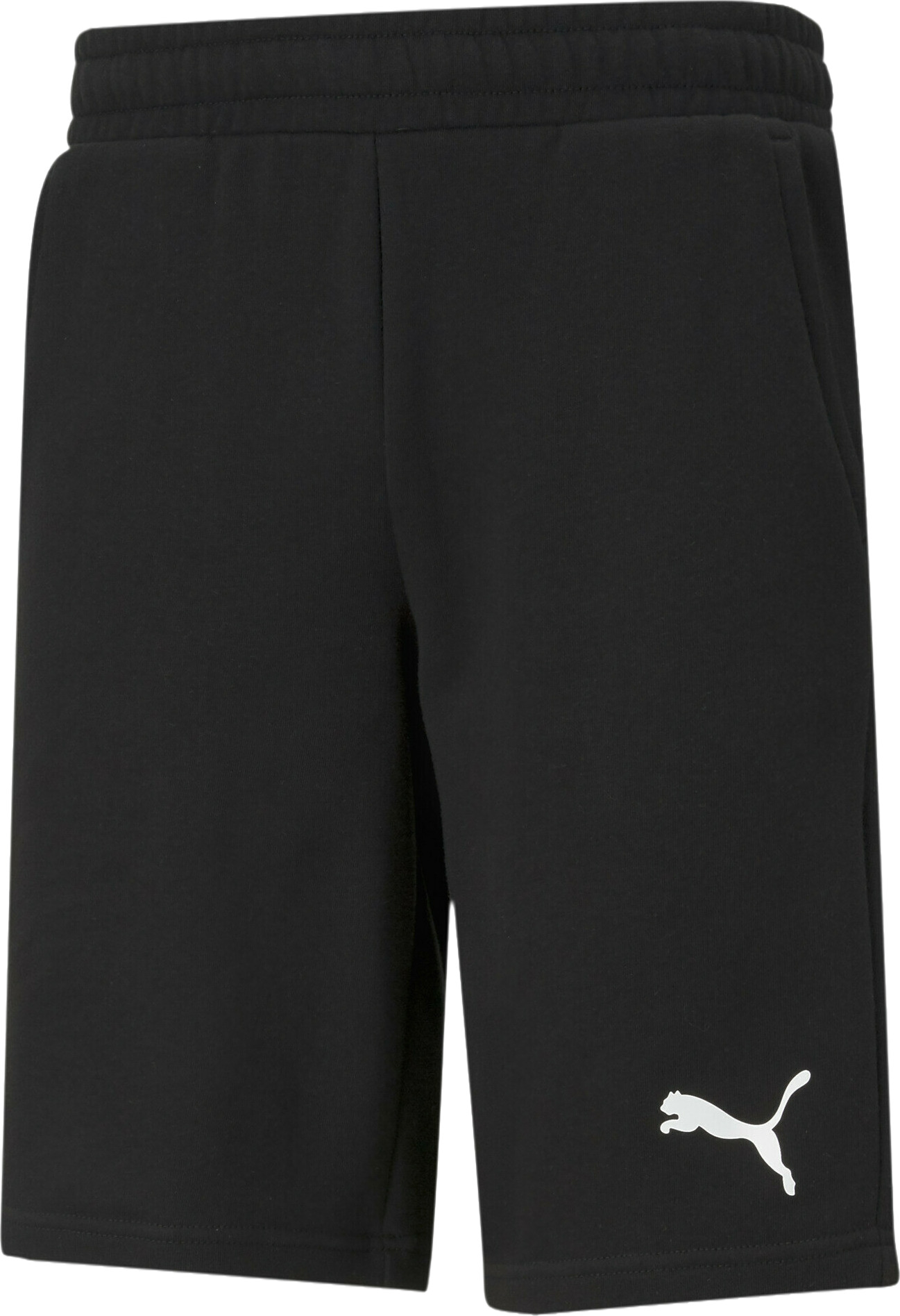 Спортивные шорты мужские Puma Ess Shorts 10