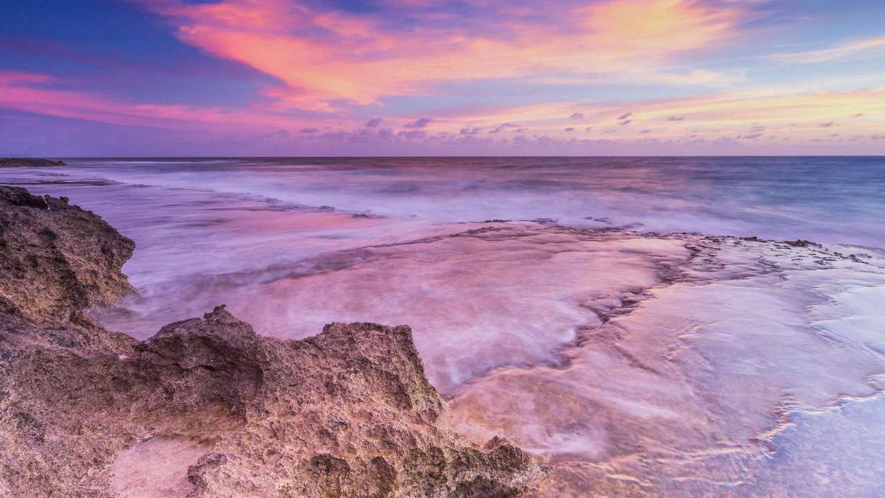 

Картина на холсте 60x110 LinxOne "Природа, пейзаж, натура, флора