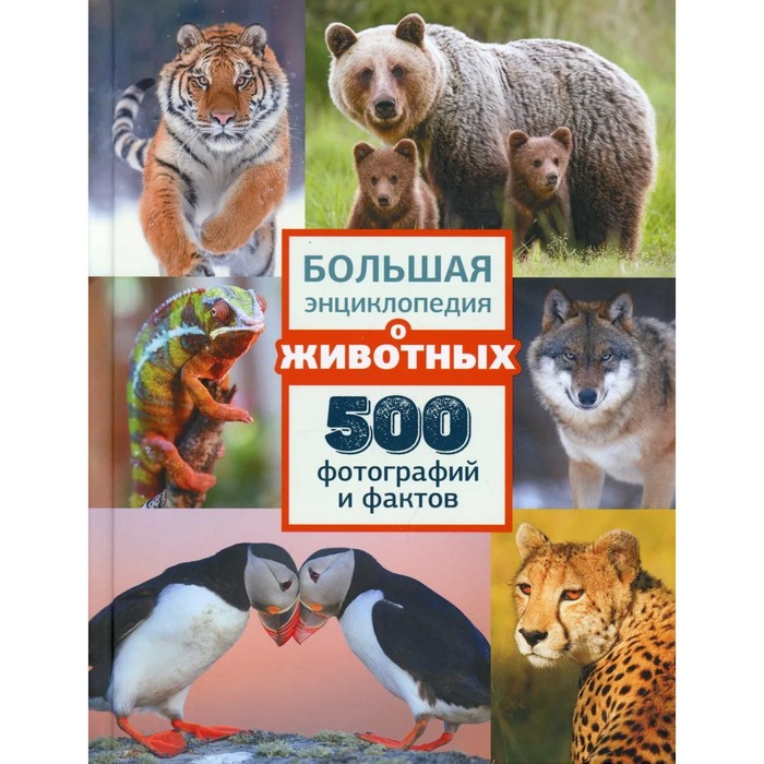 

Большая энциклопедия о животных. 500 фотографий и фактов