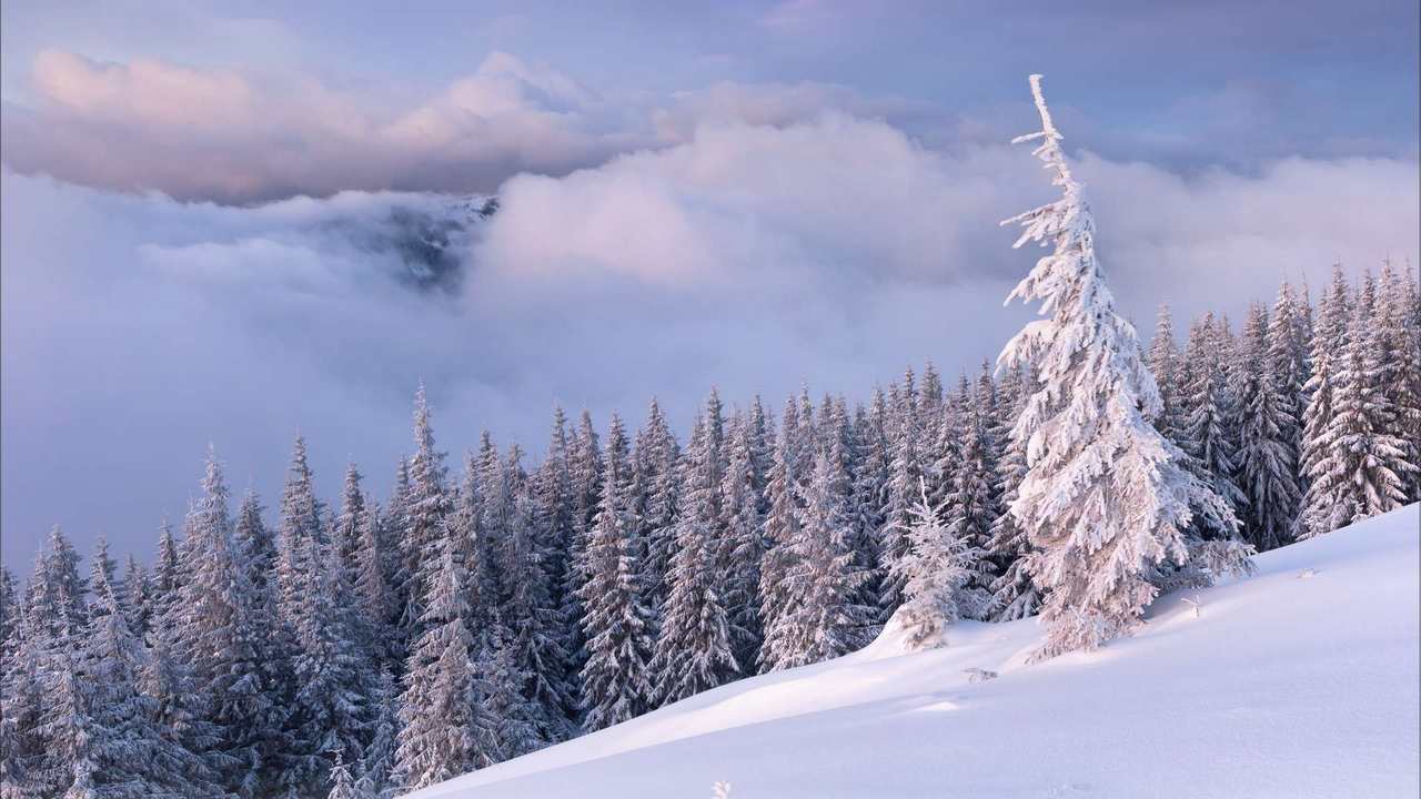 

Картина на холсте 60x110 LinxOne "Природа, пейзаж, натура, флора